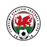 Llanelwy Athletic logo
