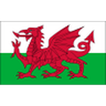 Wales logo