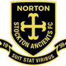 Norton & Stockton W logo