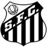 Santos U17 logo