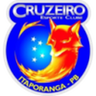 Cruzeiro Itaporanga U20 logo
