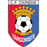Chindia Targoviste logo