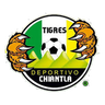Deportivo Chiantla logo