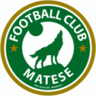 Matese logo