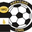Aberdare Town