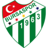 Bursaspor U19 logo