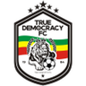 True Democracy logo