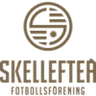 Skellefteå logo
