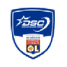 DSC logo