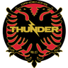 Dandenong Thunder logo