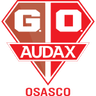 Gremio Osasco Audax logo
