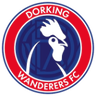 Dorking Wanderers W logo