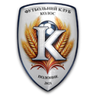 Polonne logo