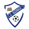 Buzanada logo