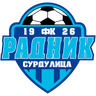 Radnik Surdulica logo
