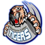 Mighty Tigers