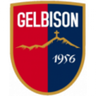 Gelbison logo
