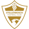 Stellenbosch logo