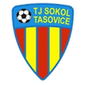 Sokol Tasovice logo