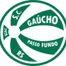 SC Gaucho RS U20 logo