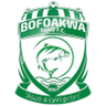 Bofoakwe Tano logo