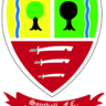Southall logo