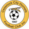 Cessnock City Hornets logo