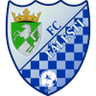 Făleşti logo