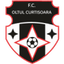 Oltul Curtişoara