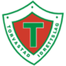 Torvastad logo