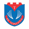 Tepelena logo
