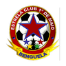 1º de Maio logo