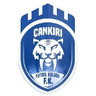 1074 Çankırıspor logo
