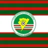 Nova Andradina logo