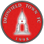Dronfield Town