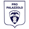 Pro Palazzolo logo