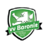 Baronie logo