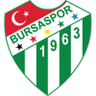 Bursaspor logo