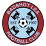 Badshot Lea logo