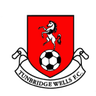 Tunbridge Wells logo