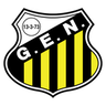 Novorizontino logo