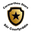 Carmarthen Stars