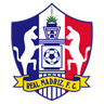 Real Madriz logo