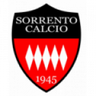 Sorrento logo