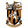 Folkestone Invicta