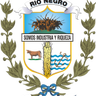 Río Negro logo