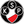Polonia Warszawa U19