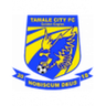 Tamale City logo