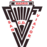 San Viator logo