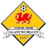 Llanuwchllyn logo